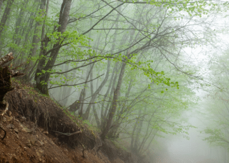 پاییز کم‌بارش و زمستان گرم در پیش است