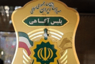 رضایت ۷۷ درصدی مردم از عملکرد پلیس آگاهی/ جامعه برای مجرمان ناامن شده است