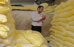آرد مورد نیاز ۹ ماه آینده استان تامین است