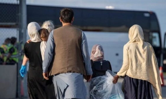 خروج یک میلیون و ۴۵۰ هزار اتباع غیرمجاز از کشور/ صدور ویزای کار ۹ ماهه برای اتباع مجاز