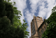 درختان پیر میدان ساعت