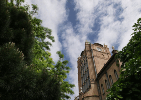 درختان پیر میدان ساعت