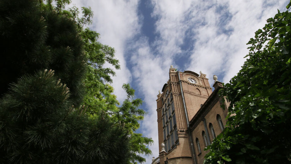 درختان پیر میدان ساعت