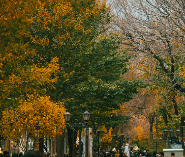 دستفروشی در تبریز در روزهای شنبه ممنوع شد