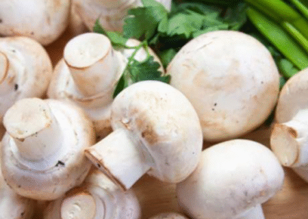 آذربایجان‌ شرقی با تولید چهار هزار و ۳۲۰ تن قارچ از استان های پیشرو است