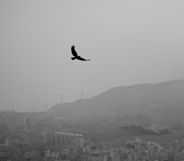 امروز تبریز چرنویل شد فردا تهران! | راهکارهای کوتاه‌مدت برای مهار بحران آلودگی هوای تبریز