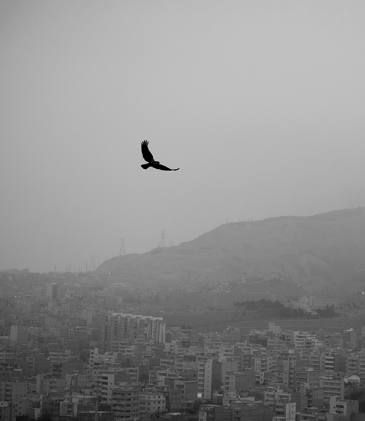 امروز تبریز چرنویل شد فردا تهران! | راهکارهای کوتاه‌مدت برای مهار بحران آلودگی هوای تبریز