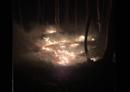 اعلام پایان عملیات اطفای حریق در اراضی جنگلی جلفا