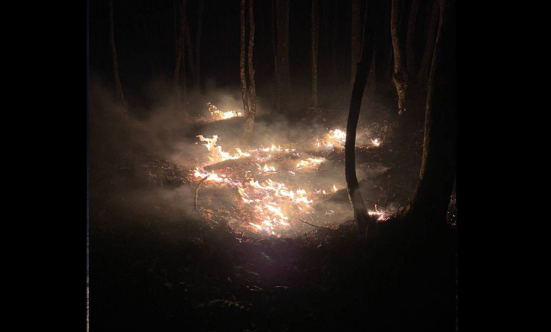 اعلام پایان عملیات اطفای حریق در اراضی جنگلی جلفا