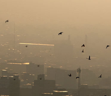 تعطیلی مدارس، دانشگاه‌ها و ادارات ۹ شهرستان آذربایجان‌شرقی به‌دلیل آلودگی هوا / توقف مازوت‌سوزی و تعطیلی واحدهای آلاینده