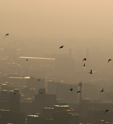 تعطیلی مدارس، دانشگاه‌ها و ادارات ۹ شهرستان آذربایجان‌شرقی به‌دلیل آلودگی هوا / توقف مازوت‌سوزی و تعطیلی واحدهای آلاینده
