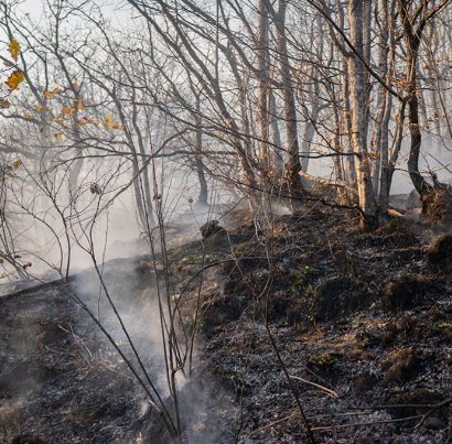 حریق در جنگل های گلستان و آذربایجان شرقی/ عملیات اطفا ادامه دارد