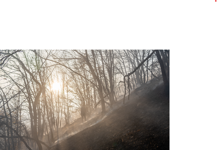 سوختن مجدد برگ‌های پاییزی، شائبه آتش‌ سوزی دوباره جنگل دیزمار را ایجاد کرده است