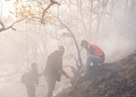 مهار آتش‌ سوزی در اراضی مرتعی و جنگلی نمنق جلفا با تلاش گسترده دستگاه‌های اجرایی و نیروهای مردمی