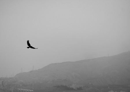 هشدار زرد آلودگی هوا در آذربایجان شرقی / افزایش آلاینده‌ها در روزهای آینده