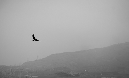 هشدار زرد آلودگی هوا در آذربایجان شرقی / افزایش آلایندهها در روزهای آینده