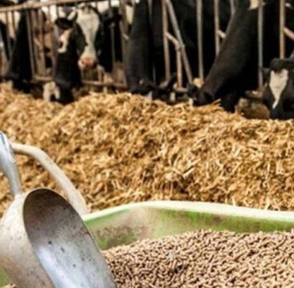 بهره‌ گیری از ظرفیت ۶۰ کارخانه برای ارتقای کیفیت خوراک دام آذربایجان شرقی