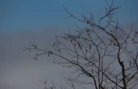 شاخص آلودگی هوای تبریز امروز یکشنبه ۱۱ آبان ۱۴۰۴