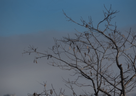 شاخص آلودگی هوای تبریز امروز یکشنبه ۱۱ آبان ۱۴۰۴