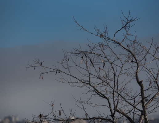 شاخص آلودگی هوای تبریز امروز یکشنبه ۱۱ آبان ۱۴۰۴