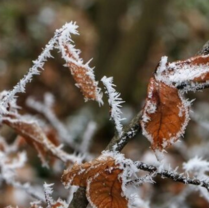 کاهش محسوس دمای هوا در نیمه شرقی کشور