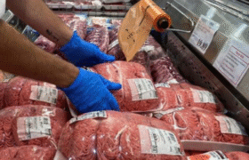 اولویت واردات با گوشت است نه دام زنده/ هشدار درباره خطر انتقال بیماری‌های خاموش