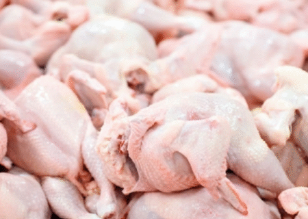 تکذیب دوباره یک شایعه قدیمی؛ مرغ تریاکی واقعیت ندارد