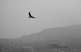  مصوبات کارگروه اضطرار آلودگی هوا برای روز سه شنبه ۱۱ آذر 