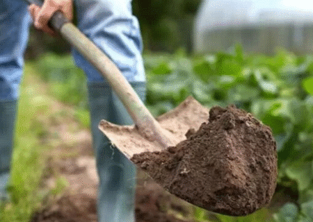 کاهش هزینه تولید و افزایش بهره‌وری؛ راهبردهای اقتصادی وزارت جهادکشاورزی برای نجات خاک است