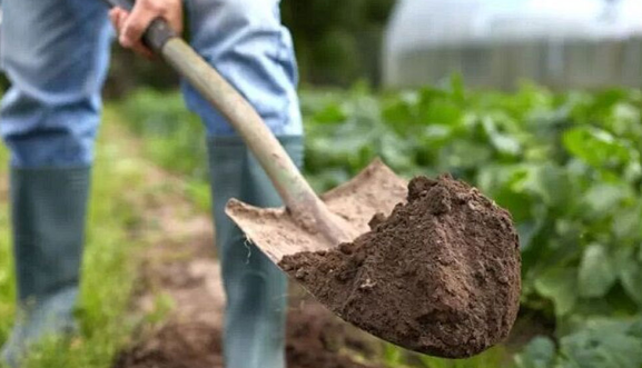 کاهش هزینه تولید و افزایش بهرهوری؛ راهبردهای اقتصادی وزارت جهادکشاورزی برای نجات خاک است