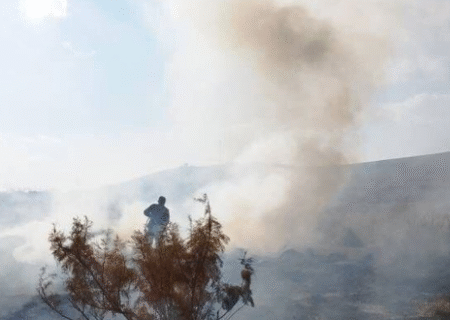 مهار آتش‌ سوزی در حریم پارک ملی دریاچه ارومیه