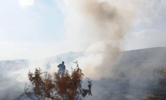 مهار آتش سوزی در حریم پارک ملی دریاچه ارومیه