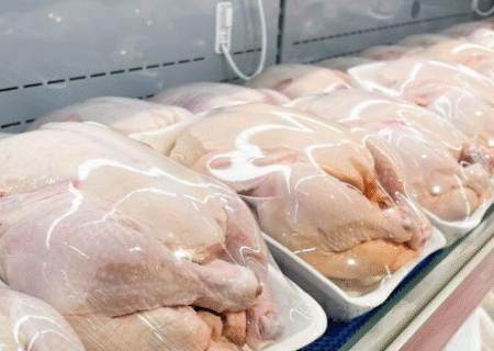 مرغداران نگران تأمین نهاده نباشند