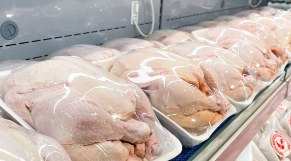 مرغداران نگران تأمین نهاده نباشند