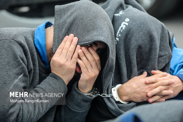 دستگیری سارقان حرفه‌ای در تبریز